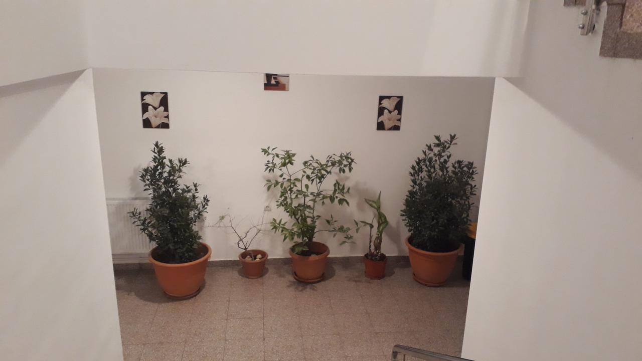 Hotel Casa Dobrescu Centura De Nord Craiova Esterno foto